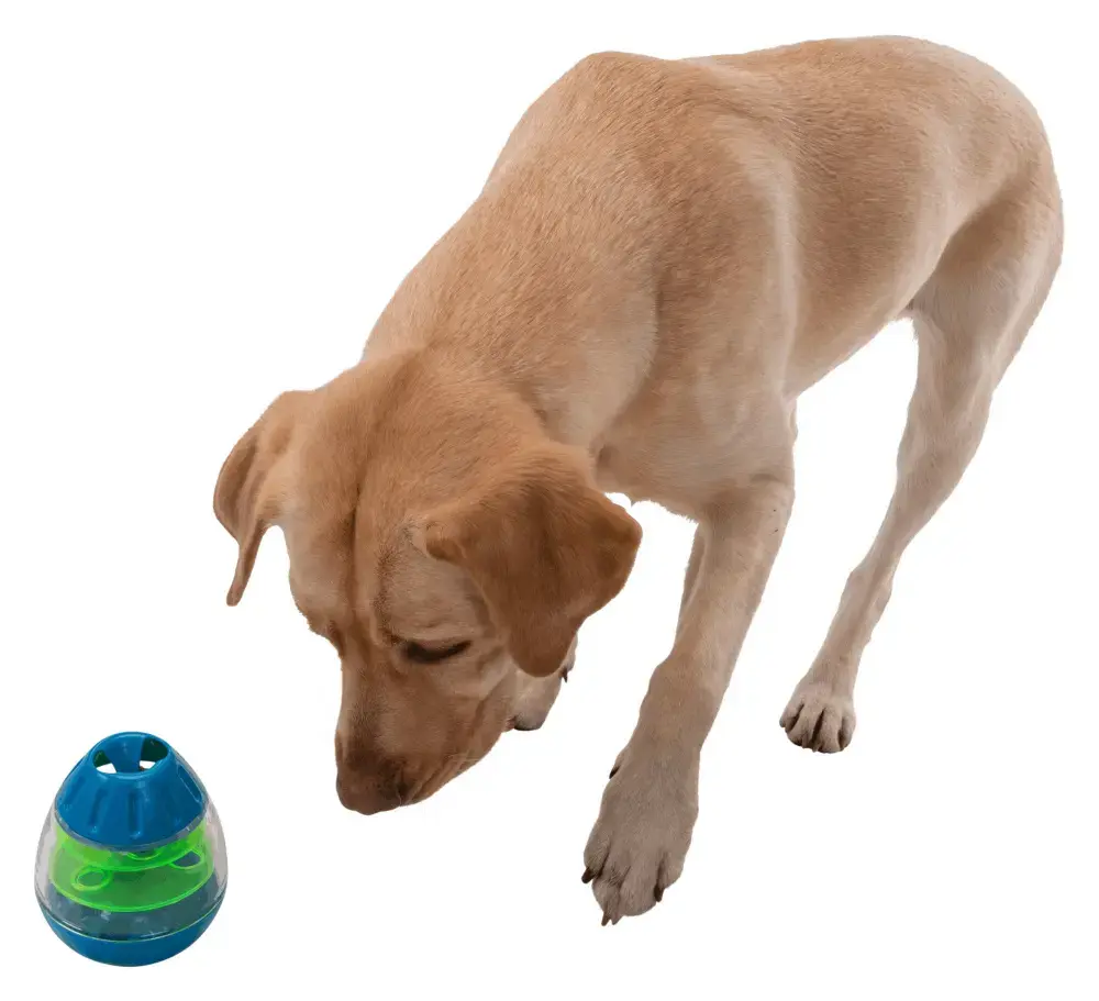 Trixie TRIXIE 34951 interactive pet toy Photo 12