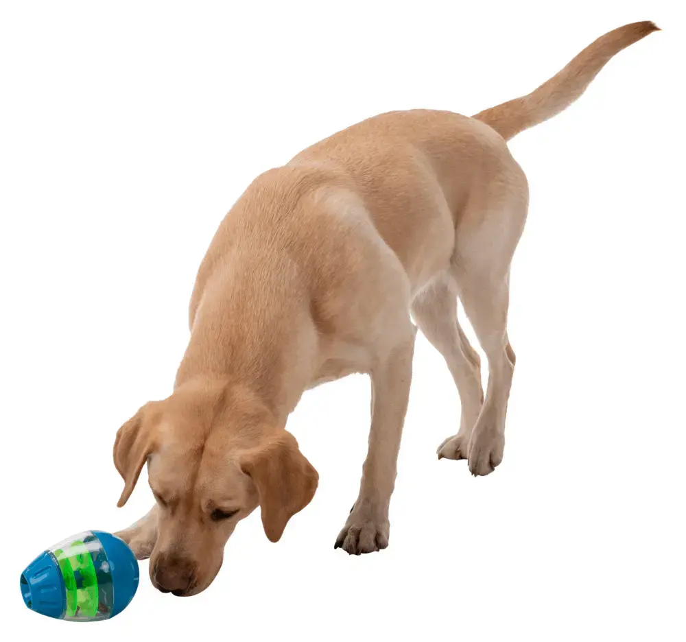Trixie TRIXIE 34951 interactive pet toy Photo 13
