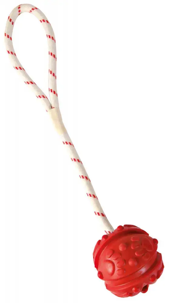 Trixie Aqua Toy Ball on Rope — suņu bumba 4,5 cm Photo 2