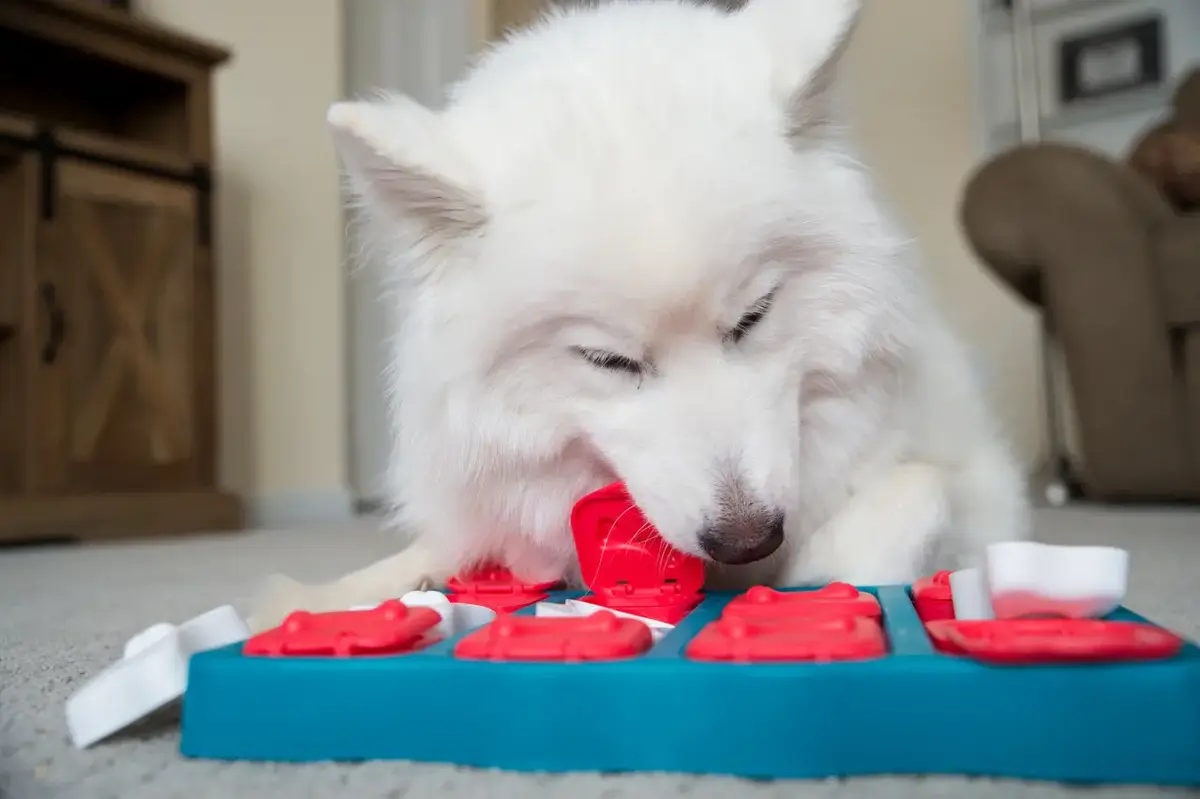 Outward Hound Brick интерактивная игрушка-головоломка Photo 3