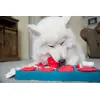 Outward Hound Brick интерактивная игрушка-головоломка Photo 3