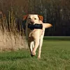 TRIXIE 32533 dog/cat toy 32533 Photo 2