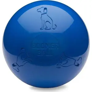Dog toy The Company of Animals Boomer Blue 100 mm – durable throw-and-fetch pet toy