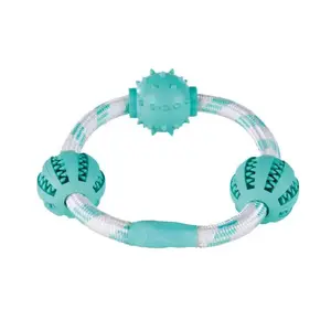 Dog toy Trixie TRIXIE 33704 — rubber disc, mint/white, diameter 20 cm