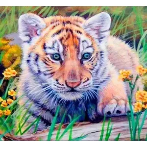 Diamond Painting Kit Norimpex Mozaika 5D — Tiger, 40 x 30 cm