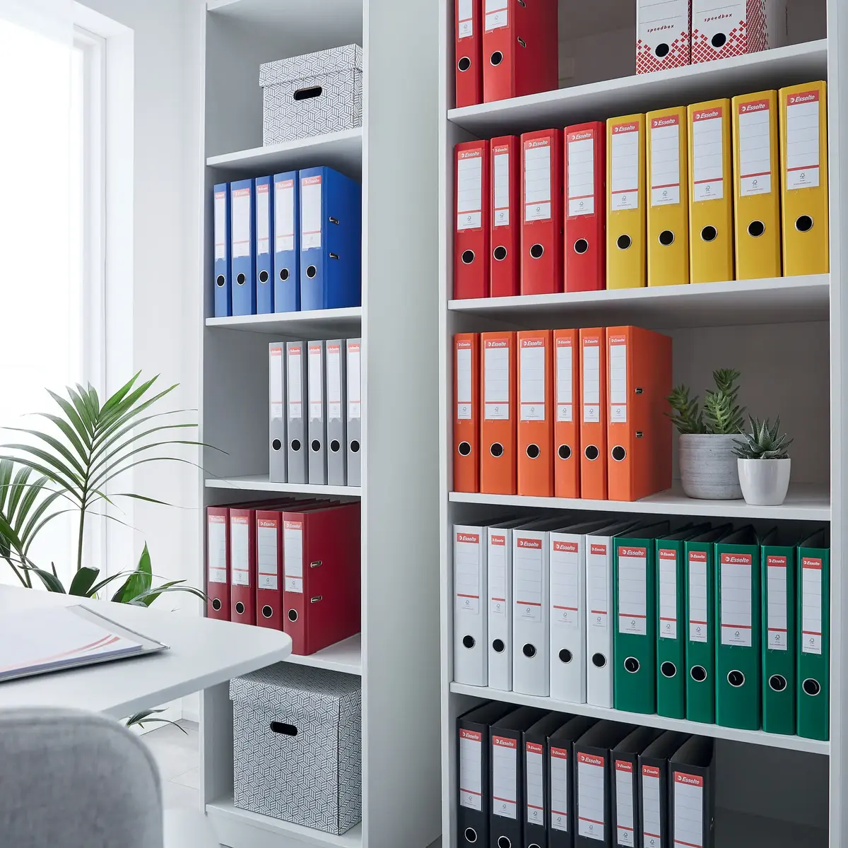ESSELTE Essentials Lever Arch File A4 72 mm Photo 6