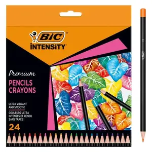 Цветные карандаши BIC Intensity пастельные — набор 24 шт., разноцветные, в коробке