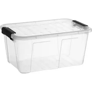 Storage container plast team Home Box 8 L with black handle, model TEA000312
