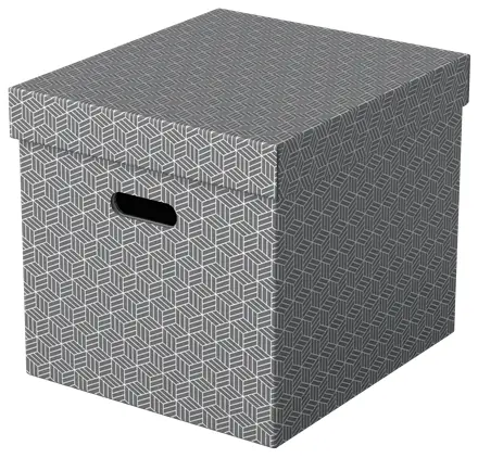 Esselte Uzglabāšanas kaste Home Storage Box