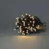 Nedis WIFILX01W50 decorative light chain 50 LED Photo 3