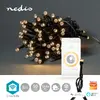 Nedis WIFILX01W50 decorative light chain 50 LED Photo 7