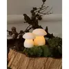 Konstsmide Sirius Home 13308 light decoration figure Photo 2