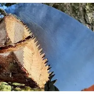 Zāģa asmens ar āķi 36 cm priekš BRADAS KT-V1501 (piemērots 3 m un 5,5 m stabiem)