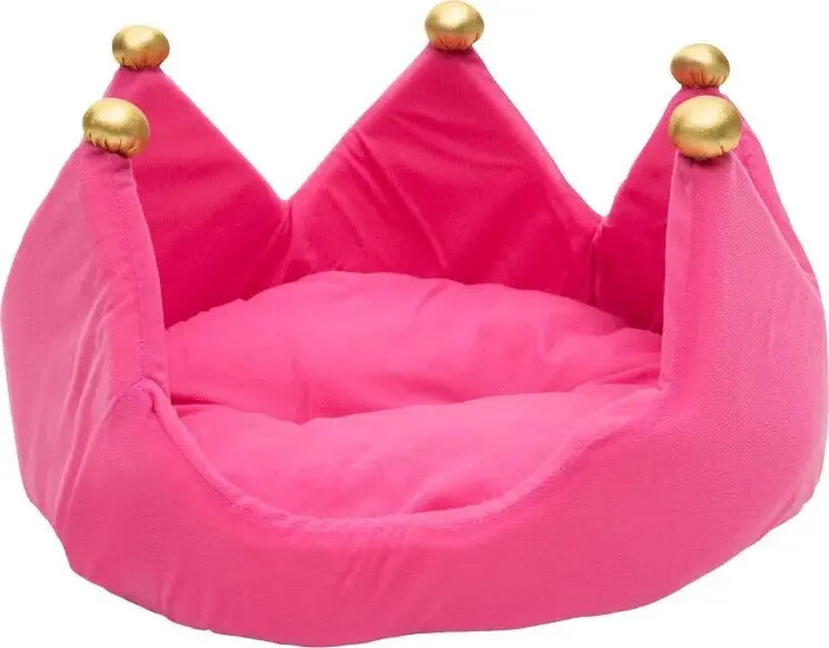 Pet Accessories