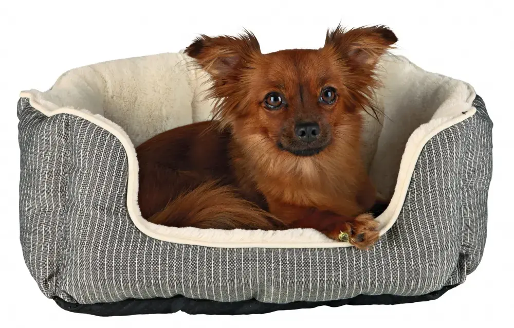 Bolster pet bed Trixie Davin 500×400 mm Photo 2