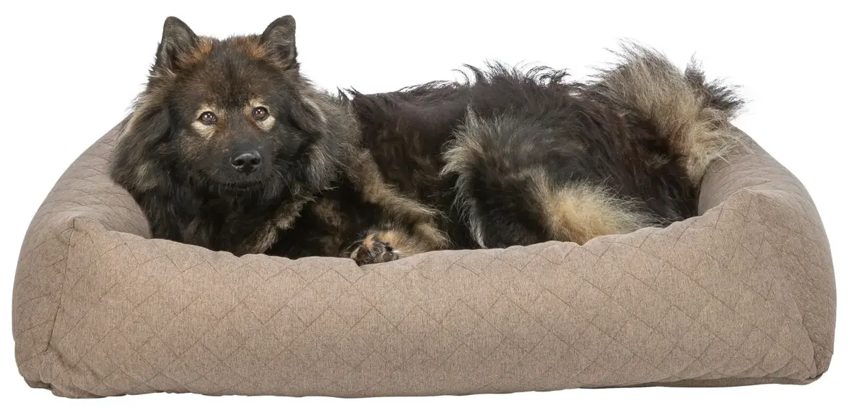 Bolster pet bed Pets Collection TRIXIE 384107 Photo 3