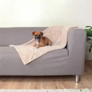Плед Trixie Koc 150 × 100 см бежевый — плед для собак и кошек