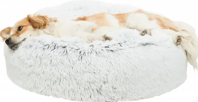 Spilvena guļvieta Trixie Harvey Cushion Photo 3