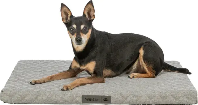 Pet paklājs FERPLAST TRIXIE 367404 — 1100×700 mm Photo 2