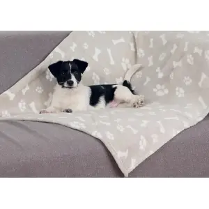 Dog Plush Bed Trixie Kenny — Beige, Plush Material, 750 × 1000 mm