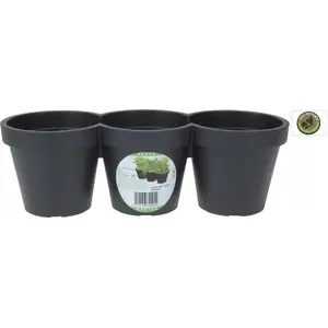 Flower pot triple plastic Vilde 339509 — black, large, 39.5 cm