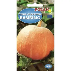 Seeds — Seklos LT Nasiona Dynia Olbrzymia Bambino (Cucurbita maxima) seeds 5 g