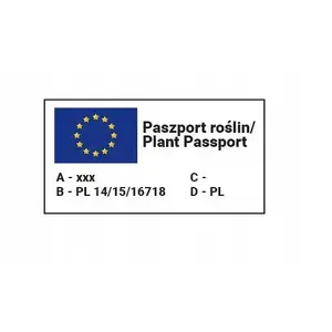 Seeds Seklos LT — Callistephus chinensis (Aster 'Nasiona Aster Chryzantemowy') 1 g packet