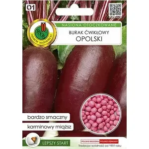 Seed Beets (Burak ćwikłowy) Apte Opolski — 100 seeds, high-yield table beet variety