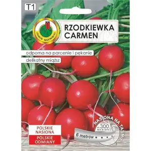 Seeds Apte Rzodkiewka CARMEN — Polish radish variety for year‑round cultivation