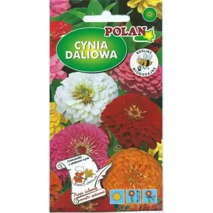 Семена Polan PLATINET Nasiona Cynia DalioWA Zinnia elegans 1 г – семена садовых цветов