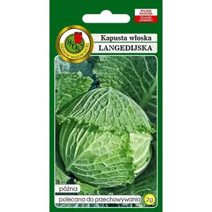 Vegetable Seeds Apte Kapusta Włoska Langedijska (Savoy Cabbage) — seed pack 2 g