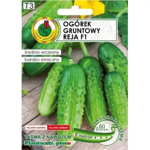 Seed tape Apte Ogórek Reja F1 cucumber 6 m with slow-release fertilizer Platnacote, mid-early variety