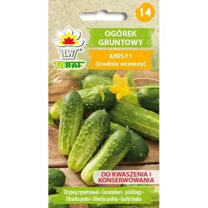 Seed packet Toraf Ares F1 cucumber (Ogórek) — hybrid seeds 5 g