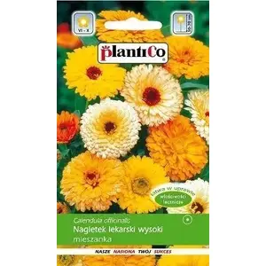 Семена Polan Calendula officinalis (ноготки лекарственные высокие) — 3 г
