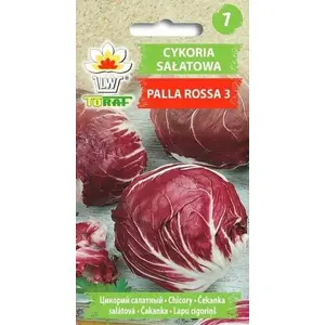 Семена Toraf цикория салатная Palla Rossa 3 — упаковка 5 г