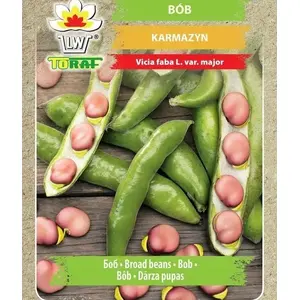 Vegetable seeds Toraf Bób Karmazyn 30 g — broad bean seeds, packet 30g