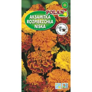 Seklos LT Marigold Seeds Nasiona Aksamitka Rozpierzchła 1 g – ornamental marigold seeds
