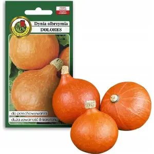 Seeds — Apte Dynia Olbrzymia Dolores (giant pumpkin) seeds, packet 5 g