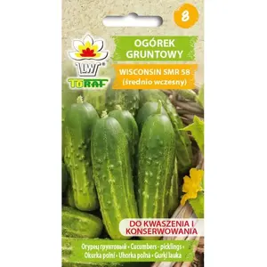 Seeds Toraf Toraf Warzywa Ogórek Wisconsin SMR 58 — cucumber seeds 5 g