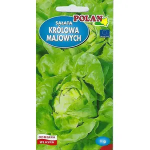 Семена салата масляного Polan «Królowa Majowych», 1 г