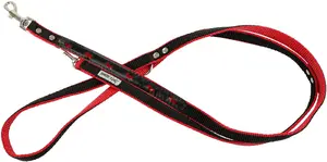 Dog leash barry king BK-18993, reflective double neo tape, 20 mm x 220 cm, red