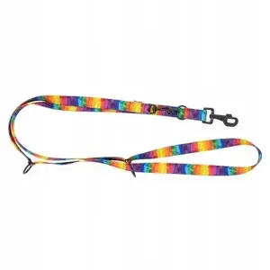 Adjustable dog leash barry king BK-17633 — ribbon 20 mm × 220 cm, Rainbow pattern