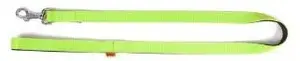 Adjustable DINGO Energy Dog Leash 1.6/220 cm, Green
