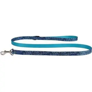 Leash DINO IVO 25 mm × 120 cm with Egypt pattern — DINO brand