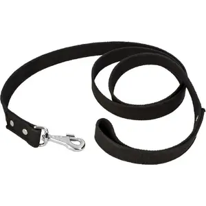 Leash UN SMYCZ TAŚMA 150–180 cm — width 30 mm