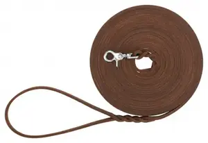 Leash Trixie 18970 brown leather tape-style 10 m length 8 mm strap