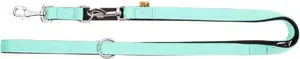 Leash DINGO Energy mint — dog leash 2.2 m