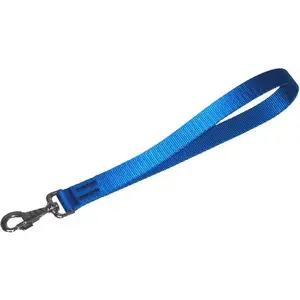Leash handle DINGO polypropylene tape 2.5 cm × 40 cm blue model 10607