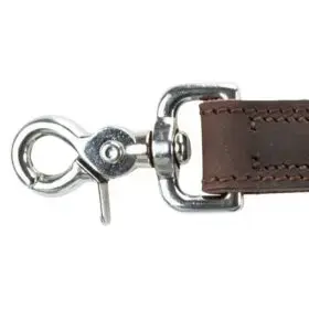 Leash Trixie TRIXIE 19042 L-XL Photo 4