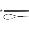 Leash Trixie TRIXIE 19042 L-XL Photo 11